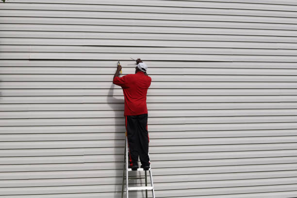 Best Siding Painting and Refinishing  in Rocky Point, NC